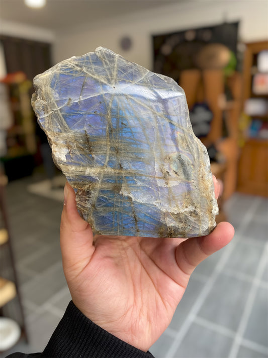 Forme Semi Poli Labradorite | Boutique Ésotérique - La Boutique Ô Mystères