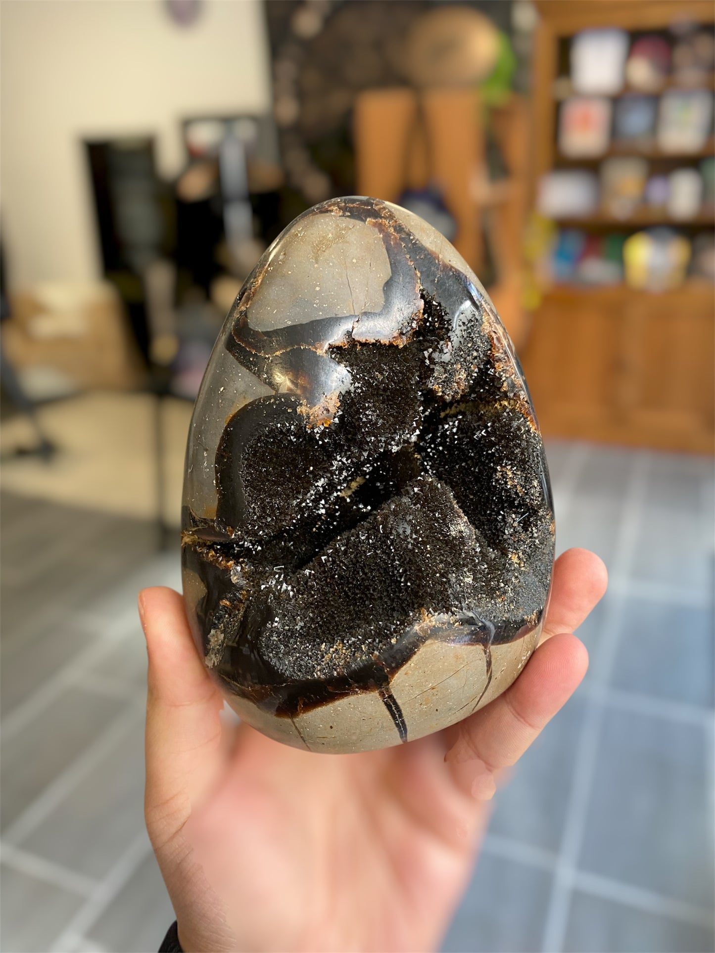 Septaria Sauvage | Boutique Ésotérique - La Boutique Ô Mystères