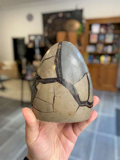 Septaria Sauvage | Boutique Ésotérique - La Boutique Ô Mystères