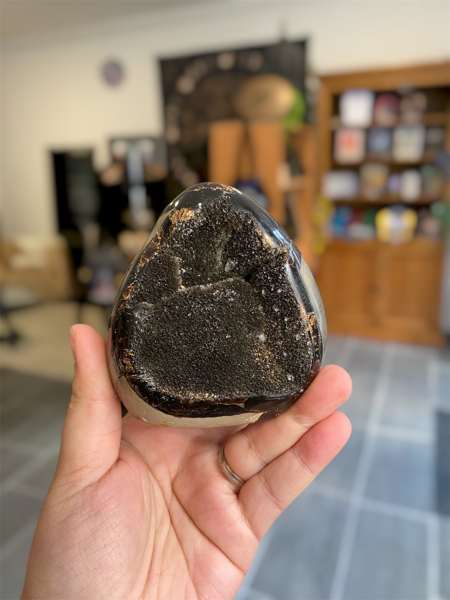 Septaria Sauvage | Boutique Ésotérique - La Boutique Ô Mystères