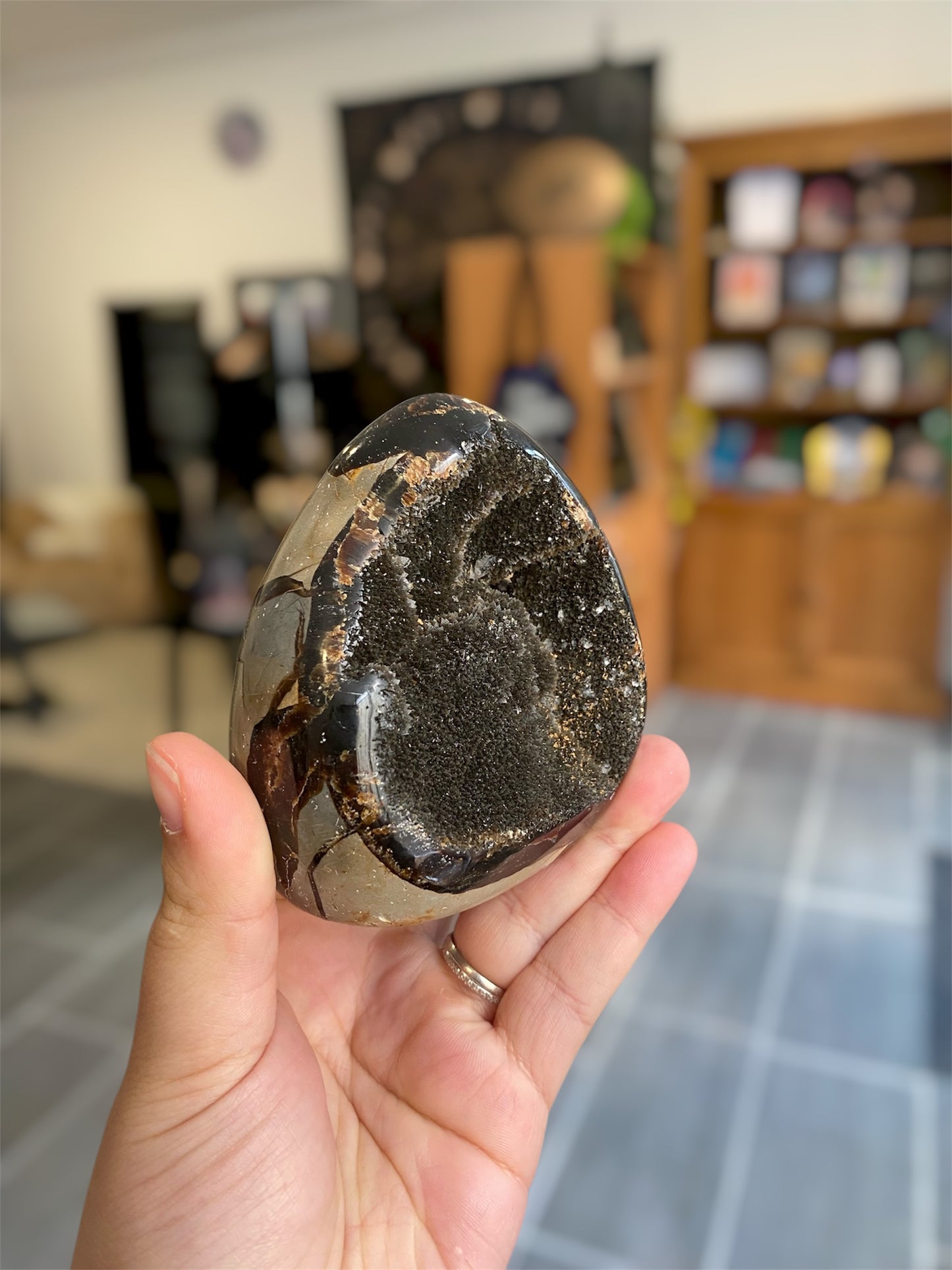 Septaria Sauvage | Boutique Ésotérique - La Boutique Ô Mystères