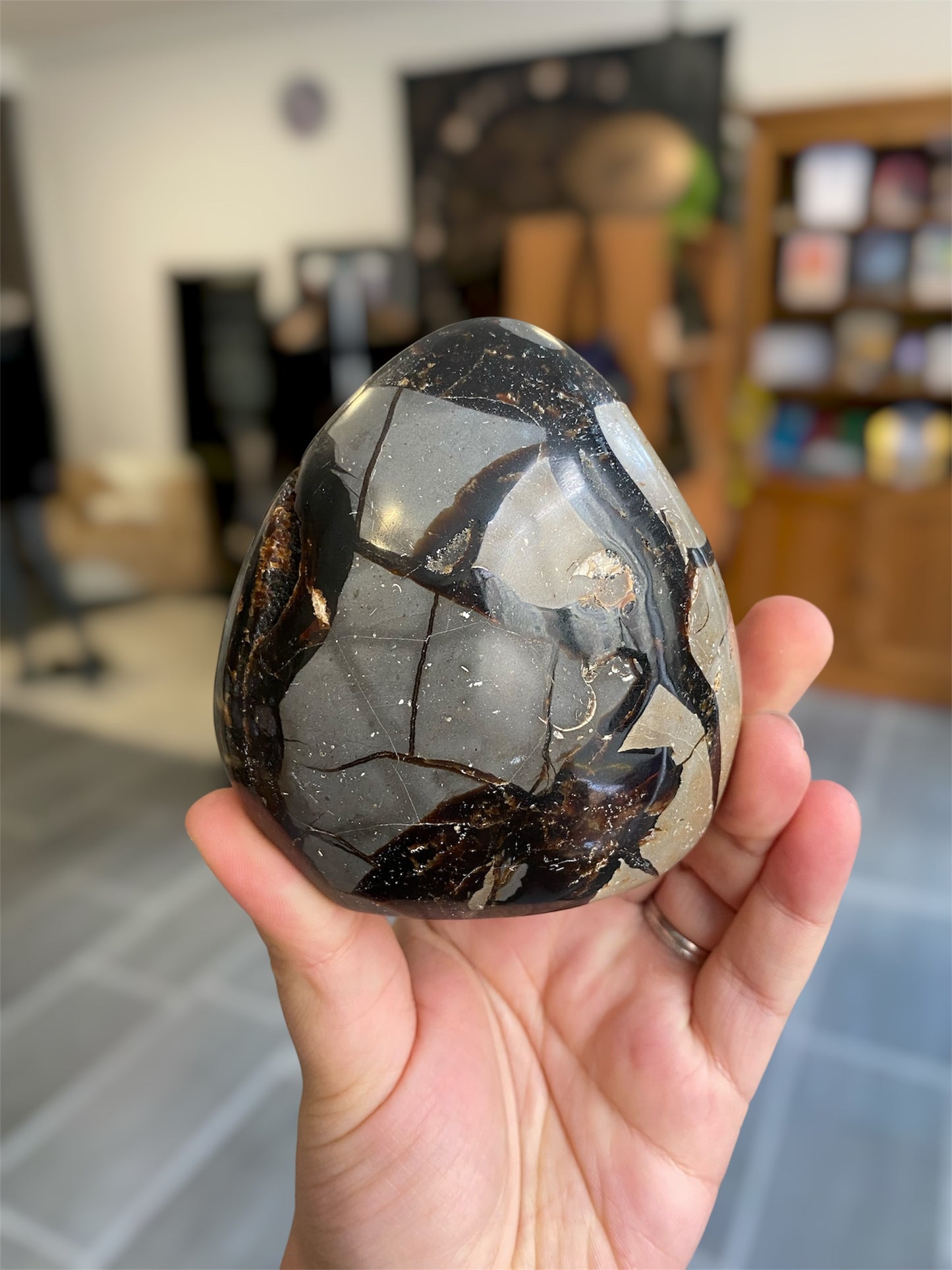 Septaria Sauvage | Boutique Ésotérique - La Boutique Ô Mystères